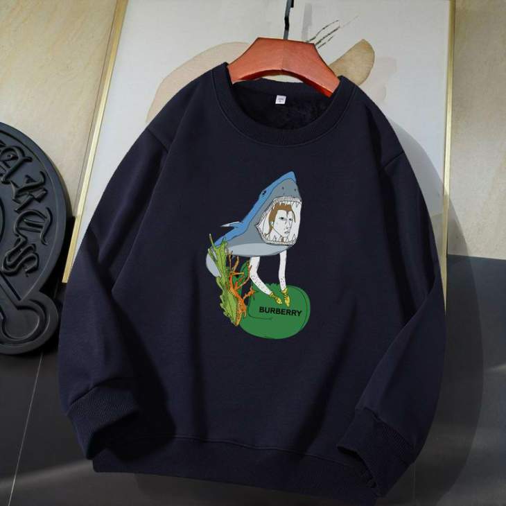 Picture of Burberry Sweatshirt _SKUBurberryS-5XL11Ln12131042
